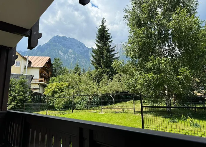 The View Apartment 2 Busteni